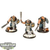 Astra Militarum - 3x Bullgryns - bemalt