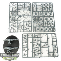 Hedonites of Slaanesh - Tormentbringer / Bladebringer -...