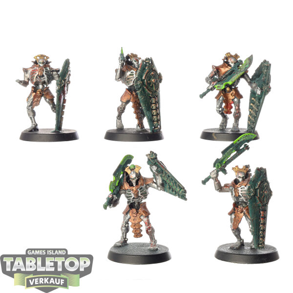 Necrons - 5 Lychguard - bemalt