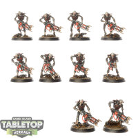 Necrons - 10 Necron Warriors - bemalt