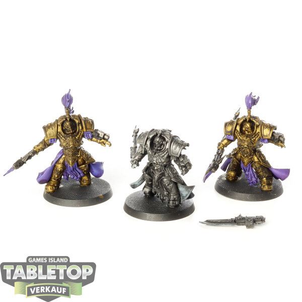 Adeptus Custodes - 3 Allarus Custodians - teilweise bemalt