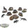 Soulblight Gravelords - 10 Dire Wolves - bemalt