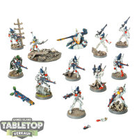 Aeldari - 10 Guardian Defenders classic - bemalt
