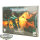 Drukhari - Index Cards 10x Edition - englisch