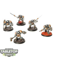 Grey Knights - 5 Grey Knights Brotherhood Terminator...