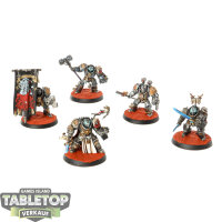 Grey Knights - 5 Grey Knights Paladins - bemalt