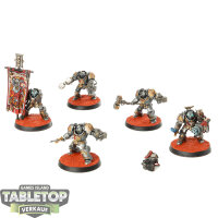Grey Knights - 5 Grey Knights Paladins - bemalt