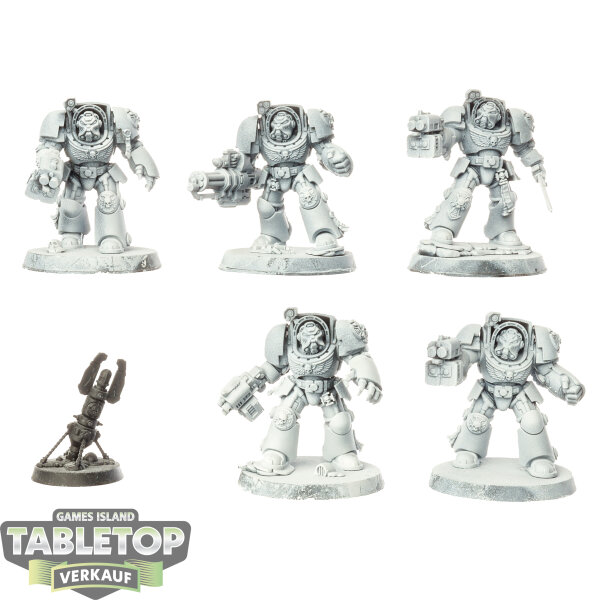 Space Marines - 5x Terminator Squad - teilweise bemalt