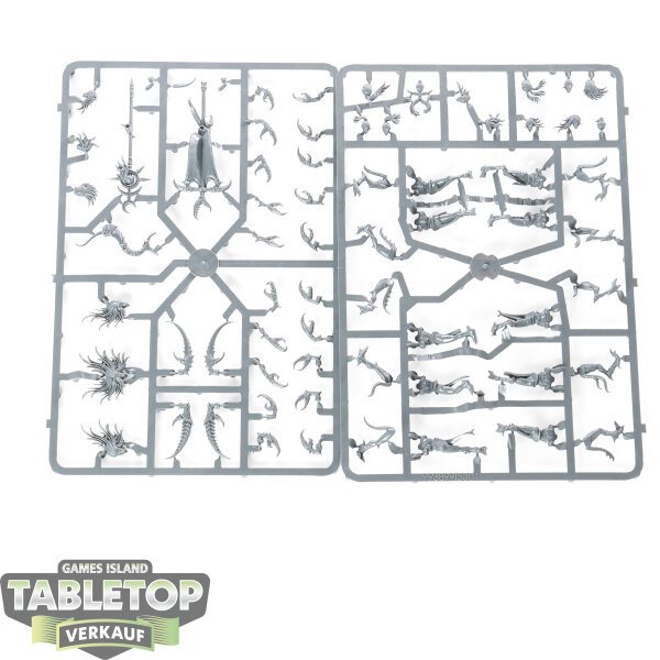 Chaos Daemons - 10x Daemonettes of Slaanesh - im Gussrahmen