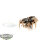 Necrons - Canoptek Spyder - teilweise bemalt