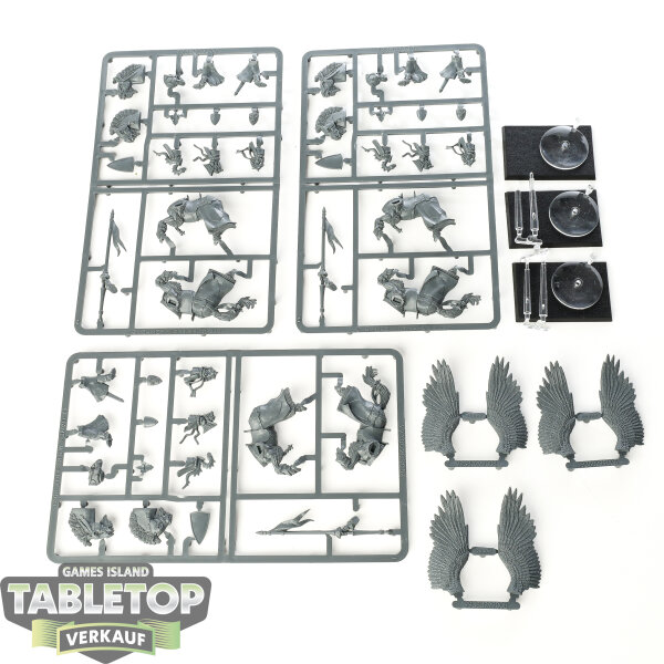 Kingdom of Bretonnia - 3 Pegasus Knights - im Gussrahmen
