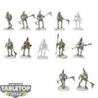 Tau Empire - 12 Kroot Carnivores - teilweise bemalt
