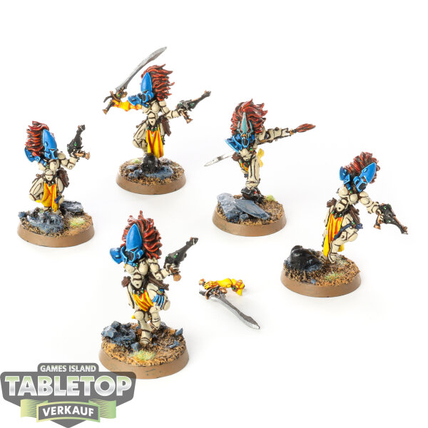 Aeldari - 5 Howling Banshees klassisch - bemalt