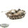 Bolt Action - German Pak 40 auf RSO - teilweise bemalt