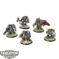 Space Wolves - 5 Wolf Guard Terminators classic - bemalt