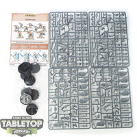Stormcast Eternals - 10 Liberators - im Gussrahmen