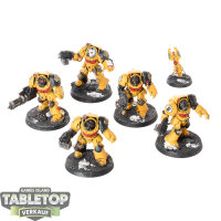 Imperial Fists - 5x Terminator Squad - bemalt