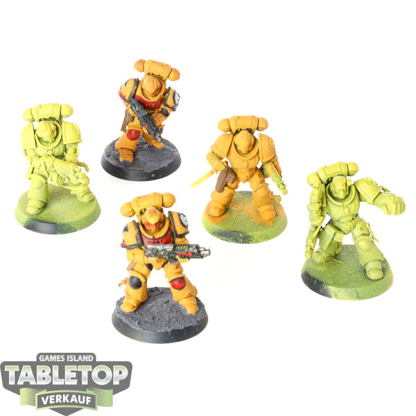 Imperial Fists - 5x Intercessor Squad - teilweise bemalt