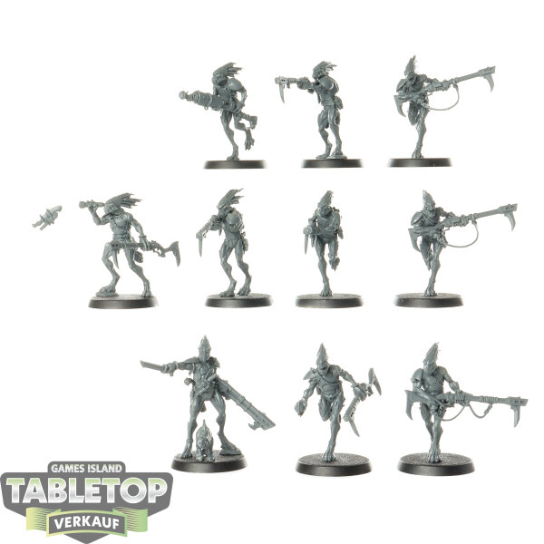 Tau Empire - 10x Kroot Carnivores - unbemalt
