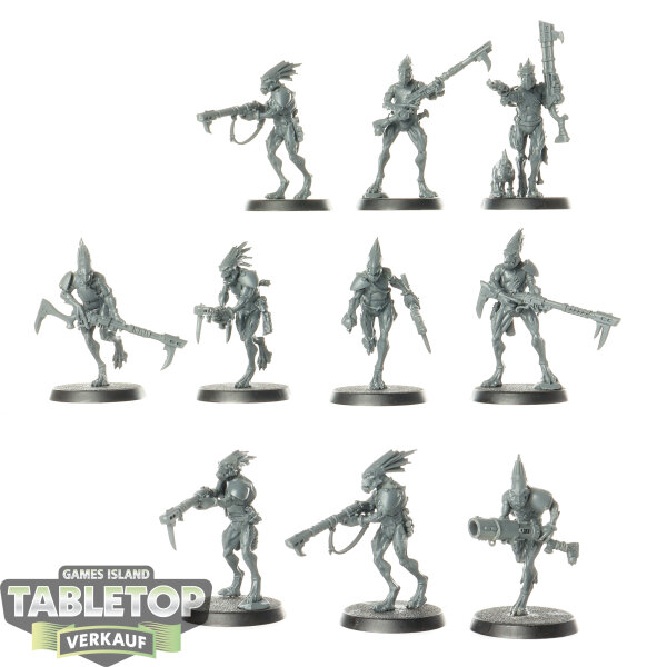 Tau Empire - 10x Kroot Carnivores - unbemalt