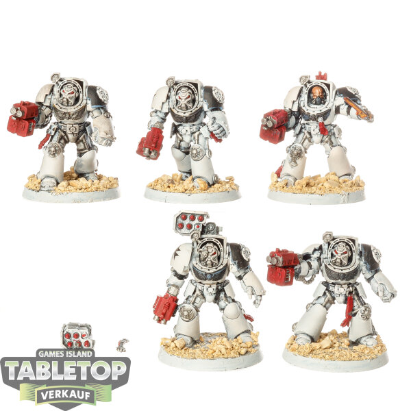 Black Templars - 5x Terminator Squad - klassisch - bemalt