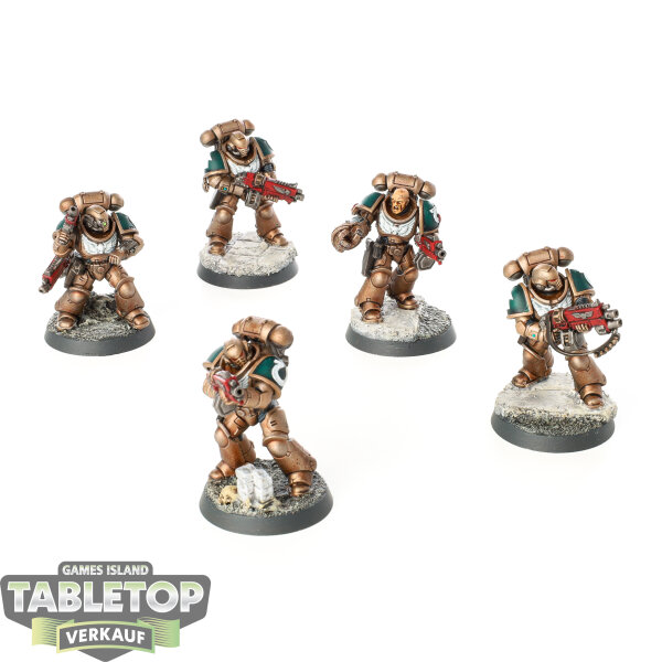Ultramarines - 5 Intercessor Squad - bemalt