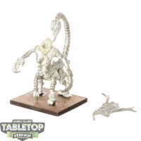 Hedonites of Slaanesh - Fiend klassisch - unbemalt