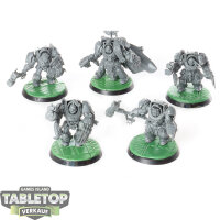 Space Wolves - 5x Wolf Guard Terminators - klassisch -...
