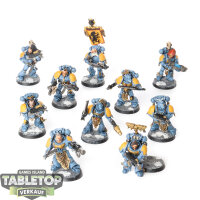 Space Wolves - 10x Grey Hunters - klassisch - bemalt