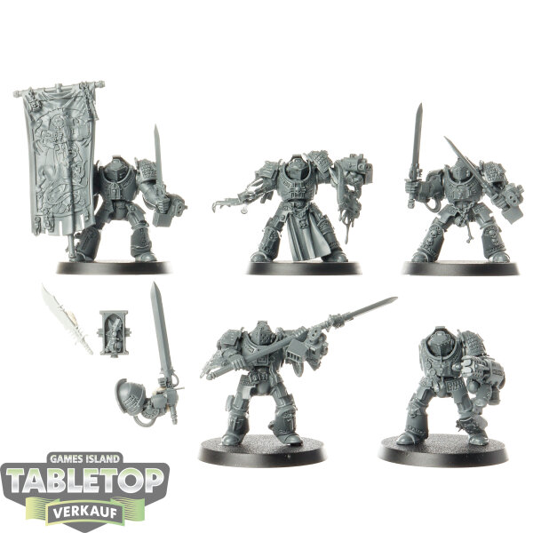 Grey Knights - 5x Grey Knights Paladins - unbemalt