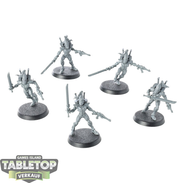 Aeldari - 5x Storm Guardians - unbemalt