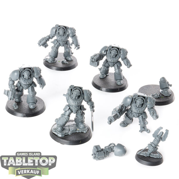 Deathwatch - 5 Terminator Squad - unbemalt