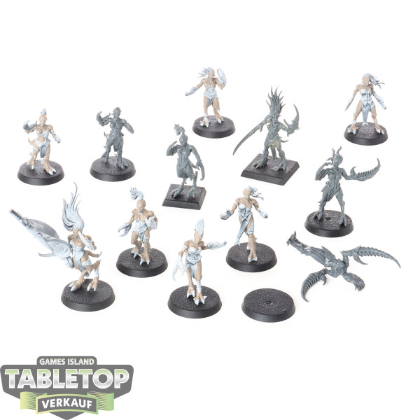 Hedonites of Slaanesh - 12 x Daemonettes of Slaanesh - teilweise bemalt