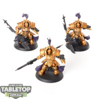 Adeptus Custodes - 3x Allarus Custodians - teilweise bemalt