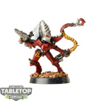 Drukhari - Sybarite klassisch - bemalt