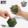 Green Stuff World - Squishy D20 Dice - GOBLIN