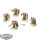 Dark Angels - 5 Deathwing Knights - bemalt