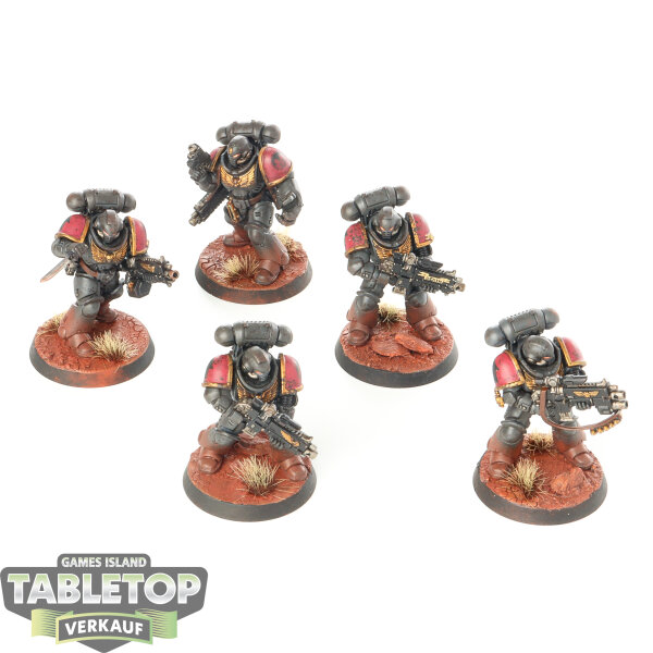 Space Marines - 5x Intercessor Squad - bemalt