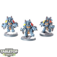 Space Wolves - 3 Aggressor Squad - bemalt