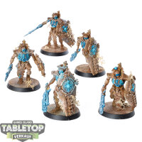 Necrons - 5x Lychguard - bemalt