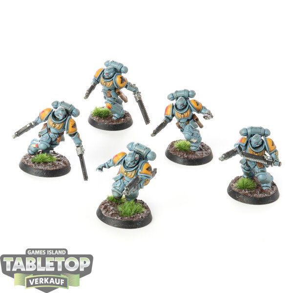 Space Marines - 5x Assault Intercessor Squad - bemalt