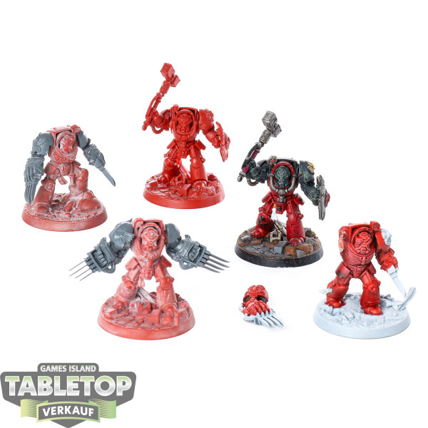 Dark Angels - 5x Assault Terminator Squad klassisch - teilweise bemalt