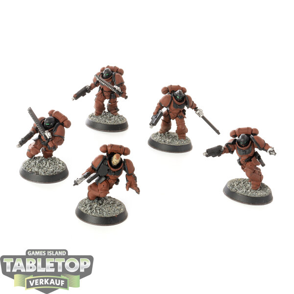 Space Marines - 5x Assault Intercessor Squad - bemalt