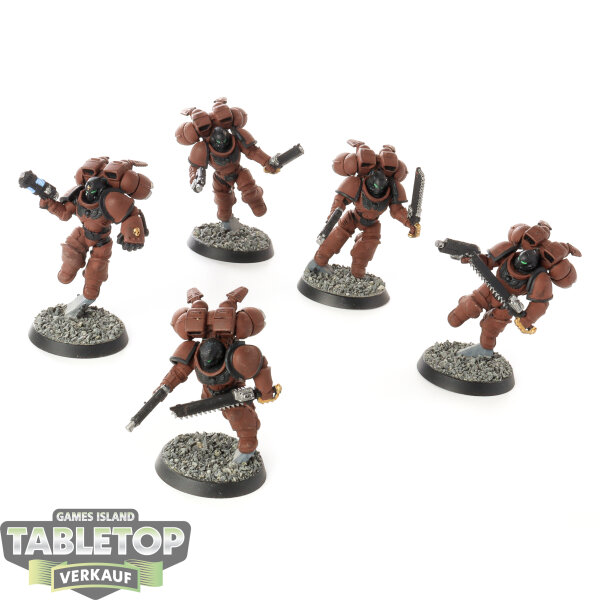 Space Marines - 5x Assault Intercessors with Jump Packs - bemalt