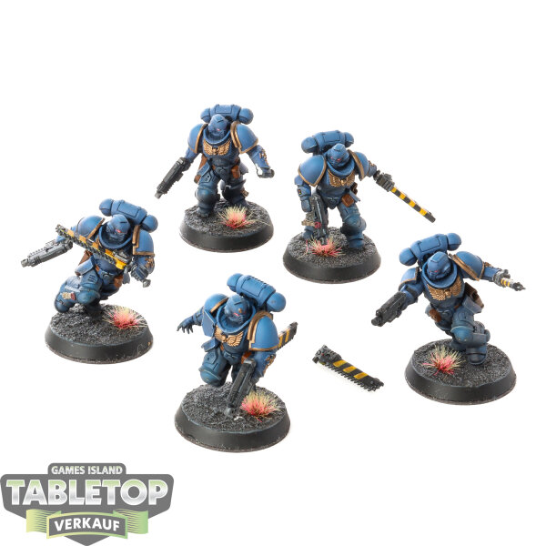 Space Marines - 5x Assault Intercessor Squad - bemalt