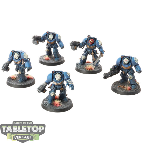 Space Marines - 5x Terminator Squad - bemalt