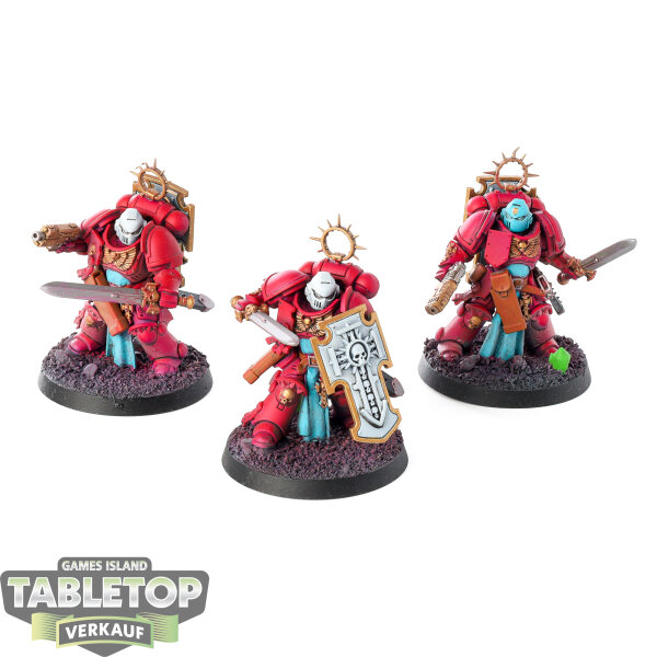 Space Marines - 3 Bladeguard Veteran Squad - bemalt