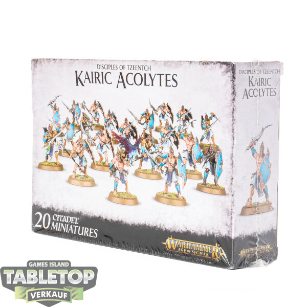 Disciples of Tzeentch - 20 Kairic Acolytes - im Gussrahmen