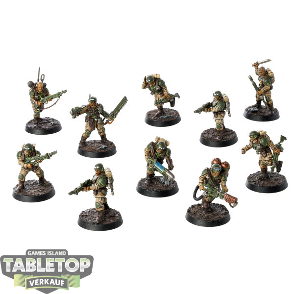 Astra Militarum - 10 Cadian Shock Troops - gut bemalt