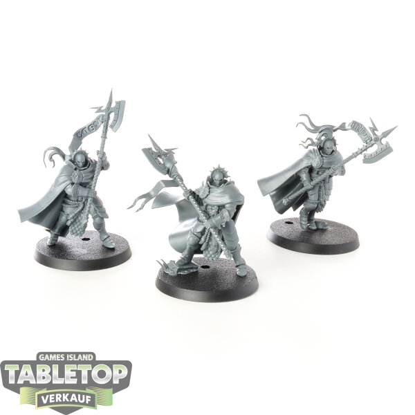 Stormcast Eternals - 3x Praetors - unbemalt